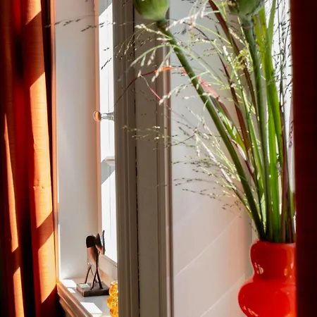 Zur Traube - Grün * Erbach (Odenwaldkreis)